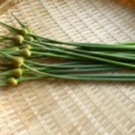 にんにくの茎 芽 坊主の天ぷら レシピ 作り方 By 身の茸335 楽天レシピ にんにくの茎 芽 坊主の天ぷら レシピ 作り方 By 身の茸335 楽天レシピ